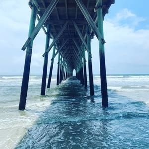 Meet your Posher, Carly